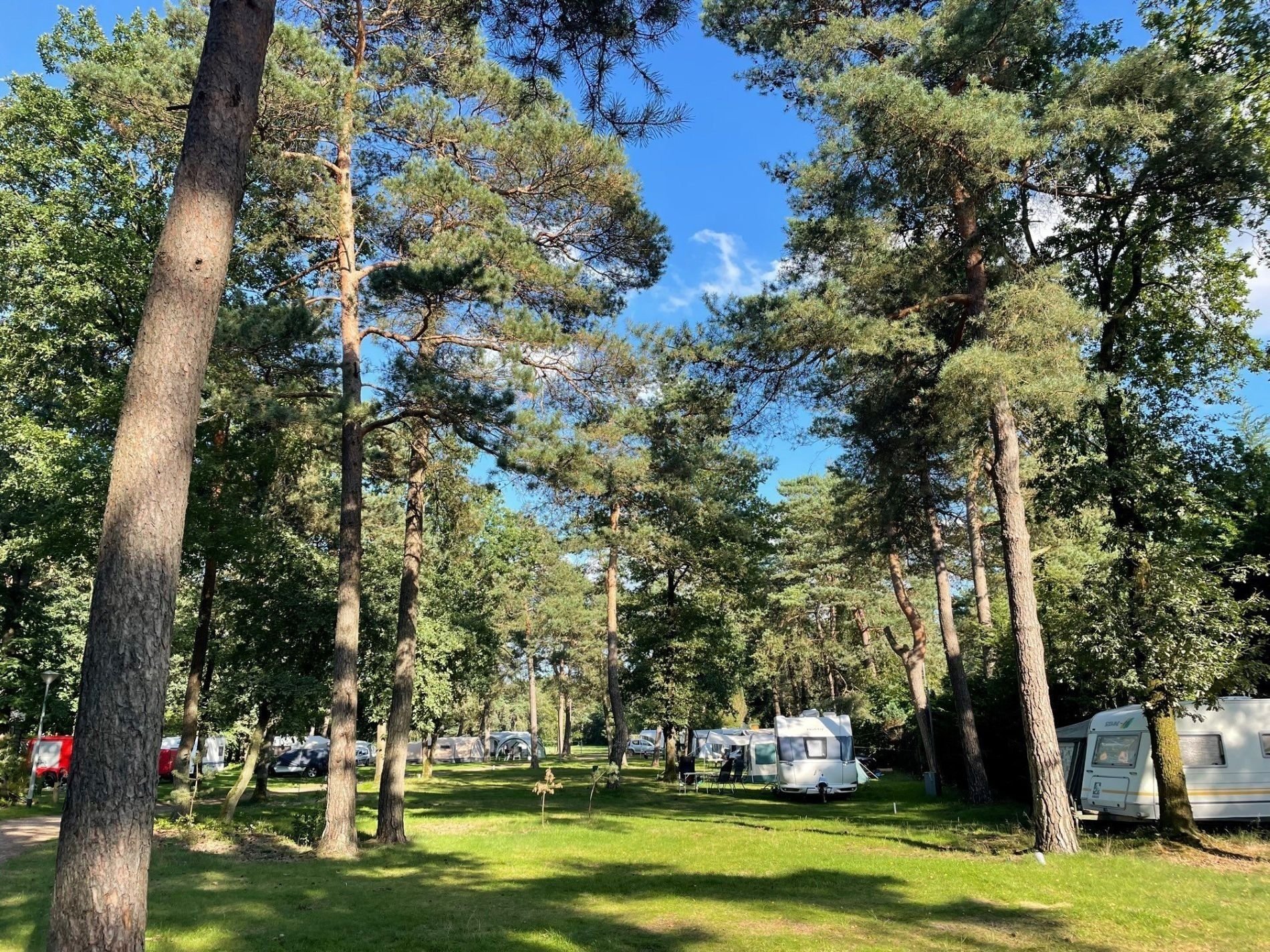 Vakantiepark Poelman Bergsehaak Aussicht Stellpl&auml;tze Wald