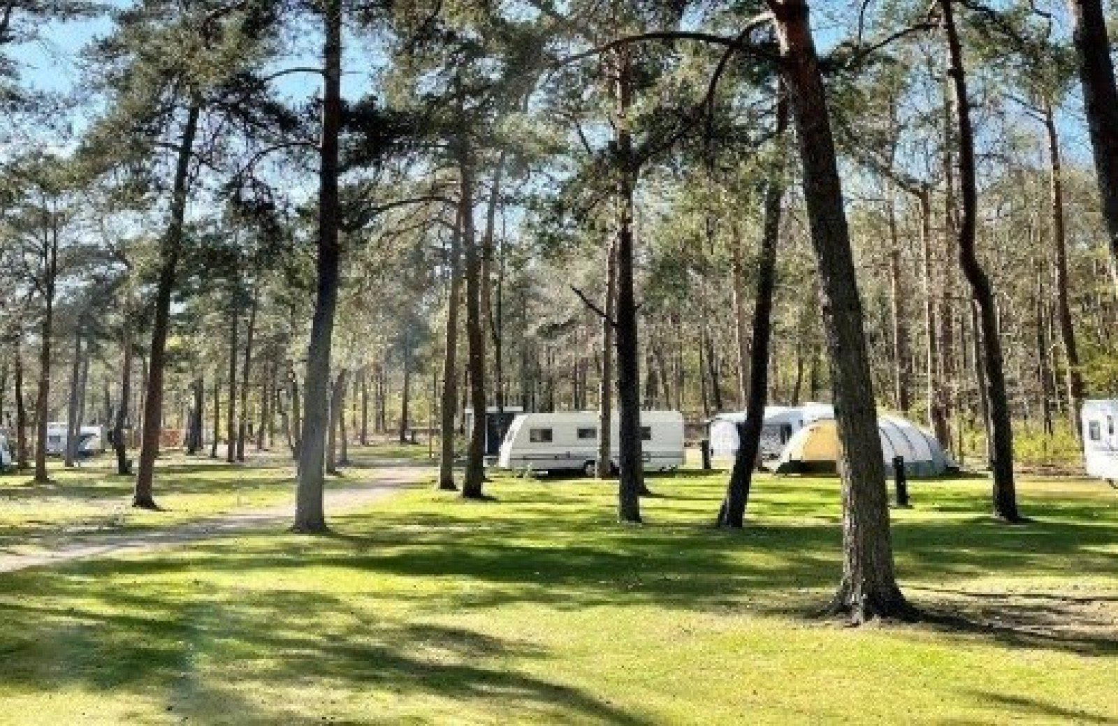 Ferienpark nahe Apeldoorn Stellplätze im Grünen