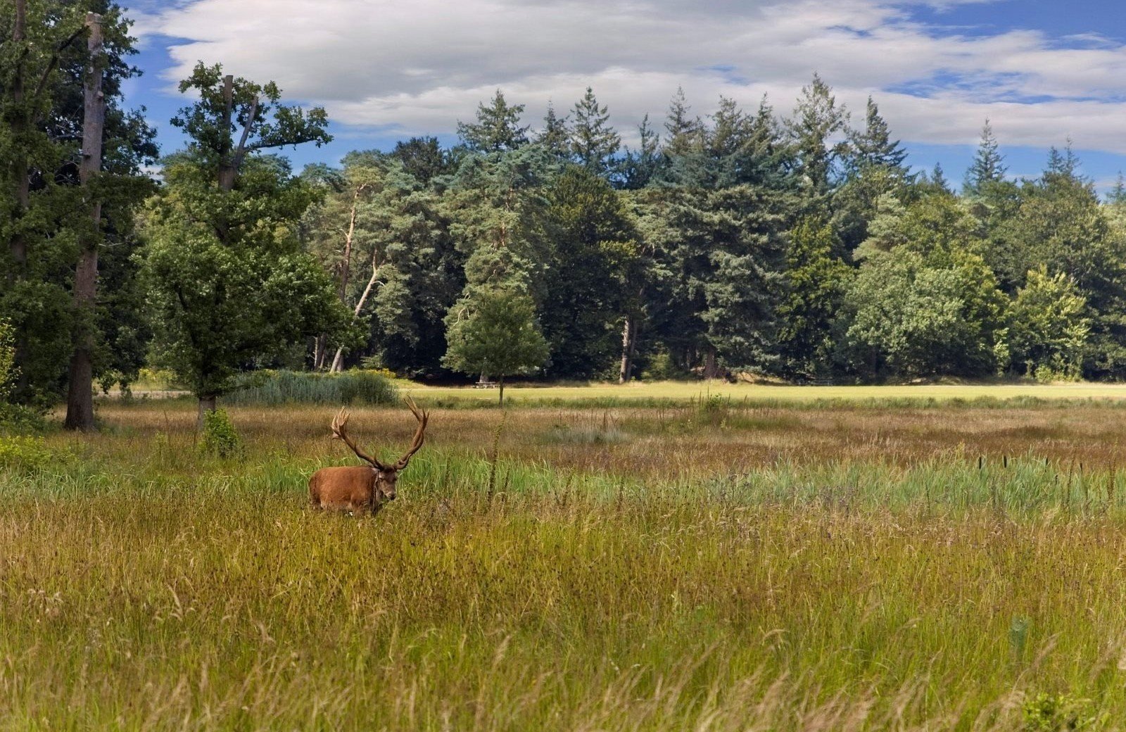 Ferienpark Gelderland in der Veluwe