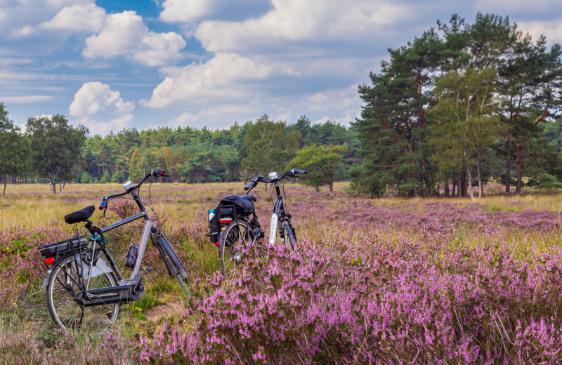Ferienpark Veluwe Fahrr&auml;der im Park