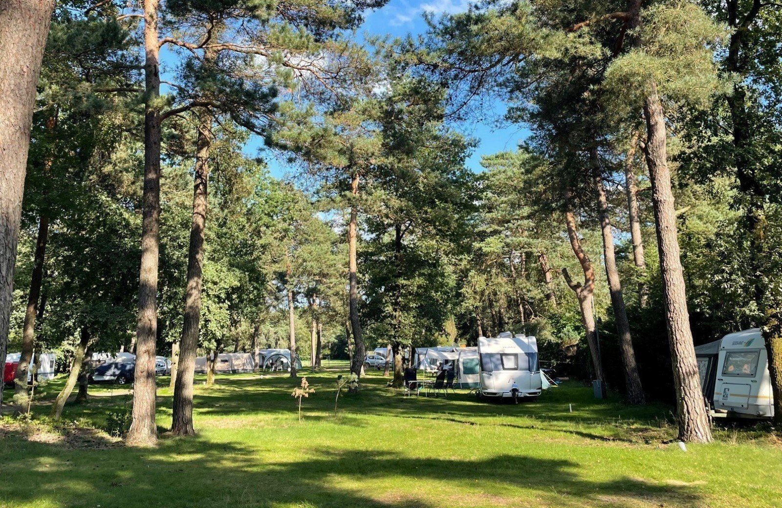 Kampeerplaats in de natuur bij de Veluwezoom