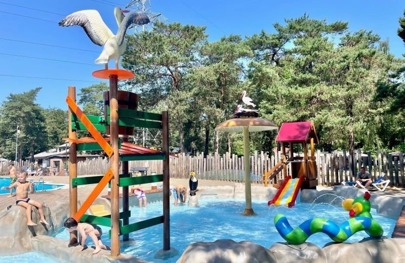 Schwimmbad im Familienurlaub in Holland