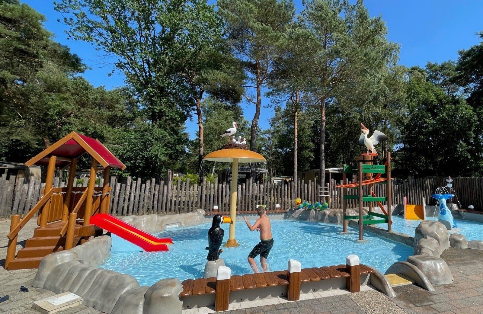 Zwembad bij vakantiehuisje Beekbergen